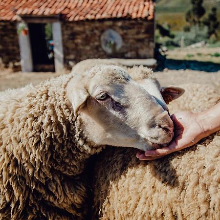 Quinta Dos Avos Lourenco Sertã エクステリア 写真