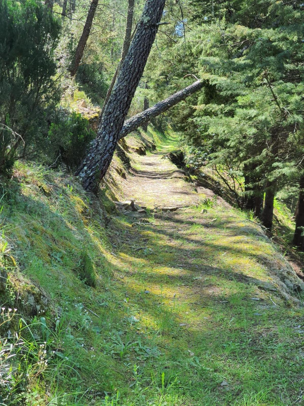 Quinta Dos Avos Lourenco Sertã エクステリア 写真